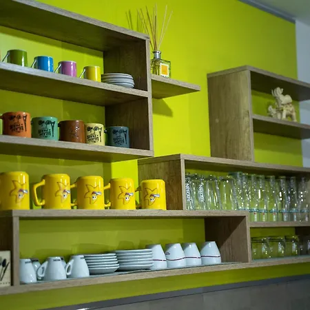 Green Apartment Apartment